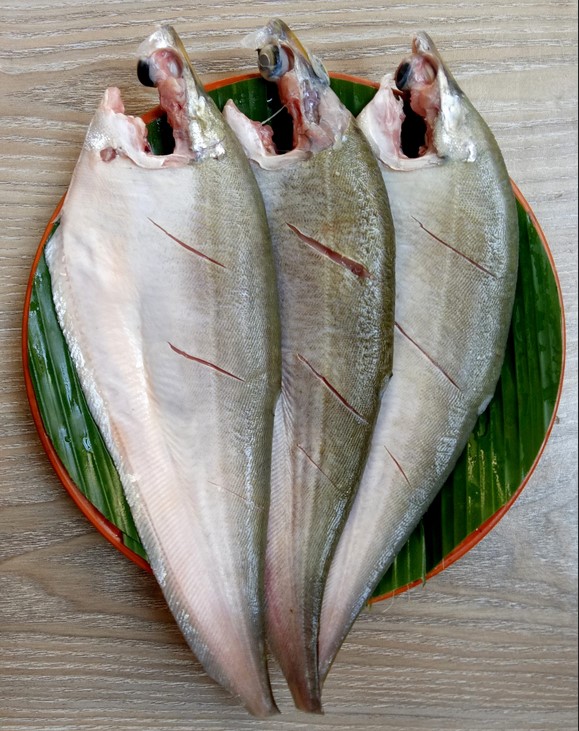 Foli (1kg)